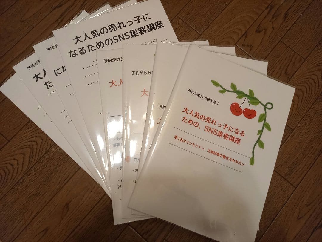高野麗子集客講座テキスト セッションのお申し込みがすぐに増えるコツ｜実績千件！直感/カンカク