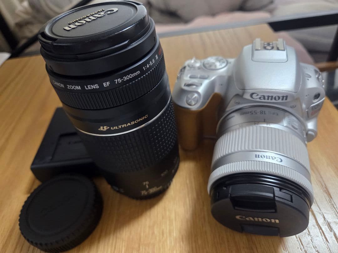 Canon EOS Kiss X9 レンズセット レンタル] CANON EOS Kiss X9とシグマ便利ズームレンズ(18-300mm)の