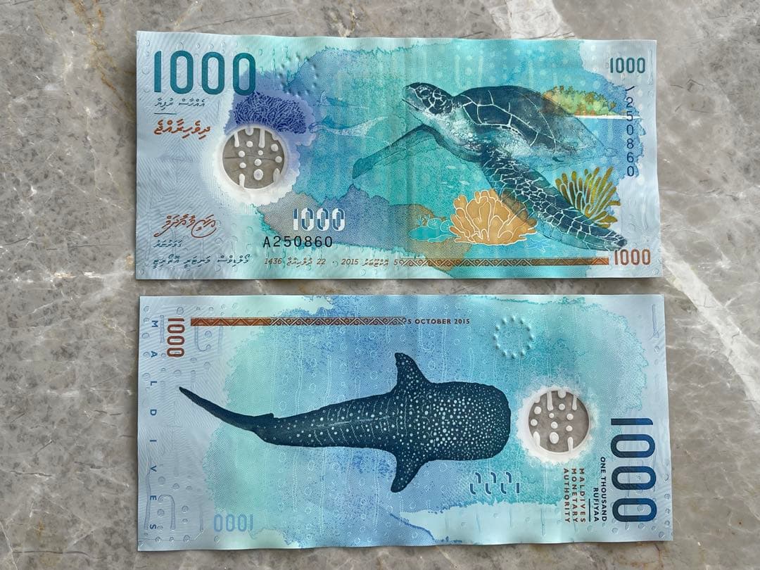 【.】モルディブ 1000ルフィア（MVR）紙幣（海亀・ジンベイザメ） モルディブ 1000ルフィア（MVR）紙幣（海亀・ジンベイザメ） - メルカリ