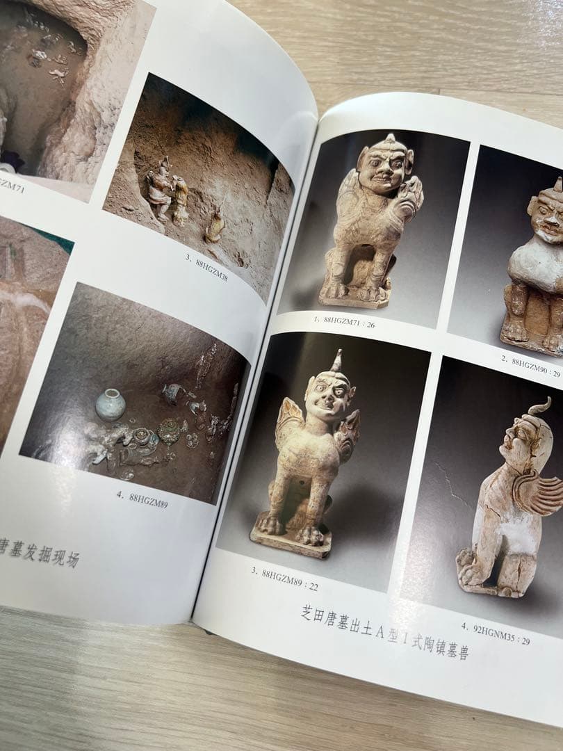 鞏義芝田晋唐墓葬』鄭州市文物考古研究所編 - メルカリ