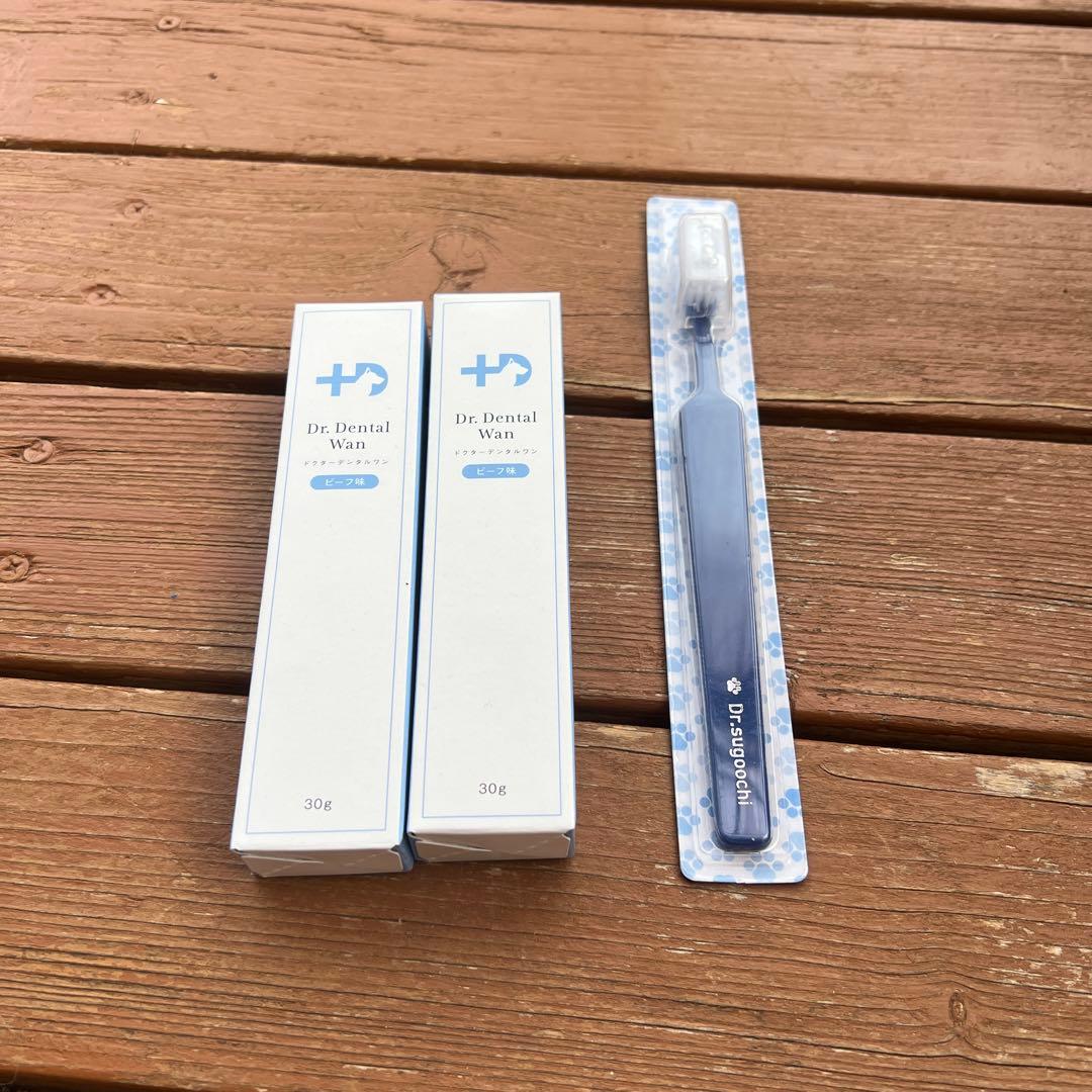 【タイムセール！！】Dr. Dental Wan ビーフ味 歯ブラシセット ドクターデンタルワン 30g ビーフ味 犬 歯磨き 2本 ジェル 口 わん