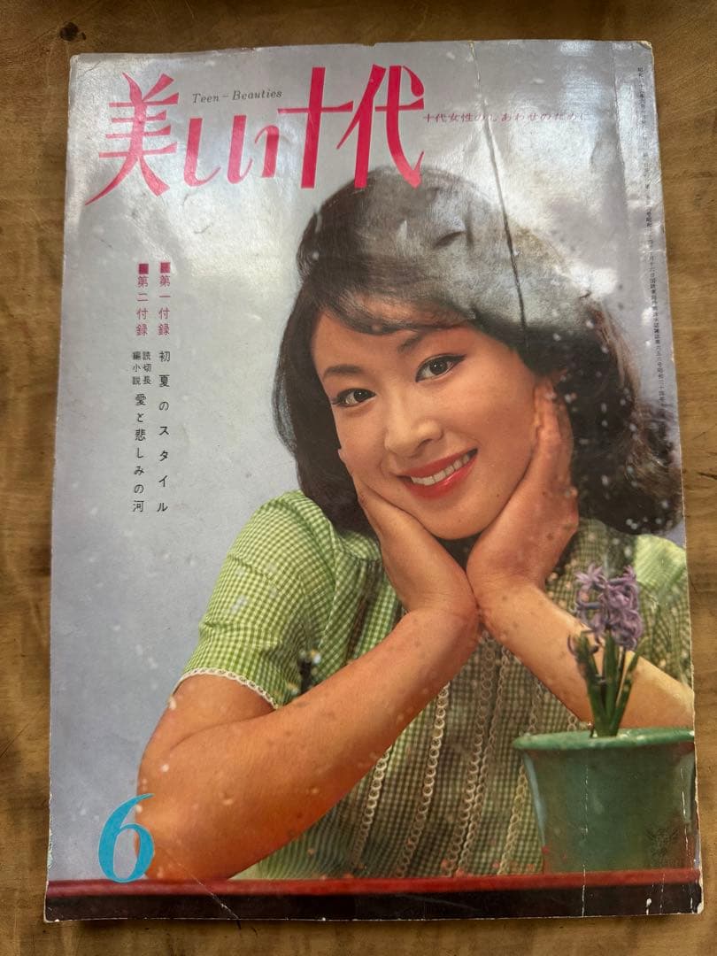 希少レア 昭和レトロ雑誌【美しい十代】1961年6月号 表紙:三田佳子