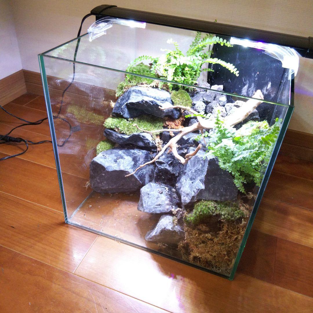 受注生産】イモリウム 苔テラリウム 滝のあるアクアテラリウム - メルカリ