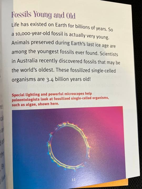 洋書 A true book シリーズ 33冊