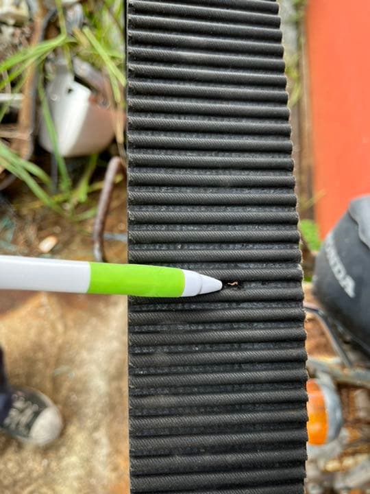 きくりん様専用ハーレーダビッドソン プライマリーベルト ベルト