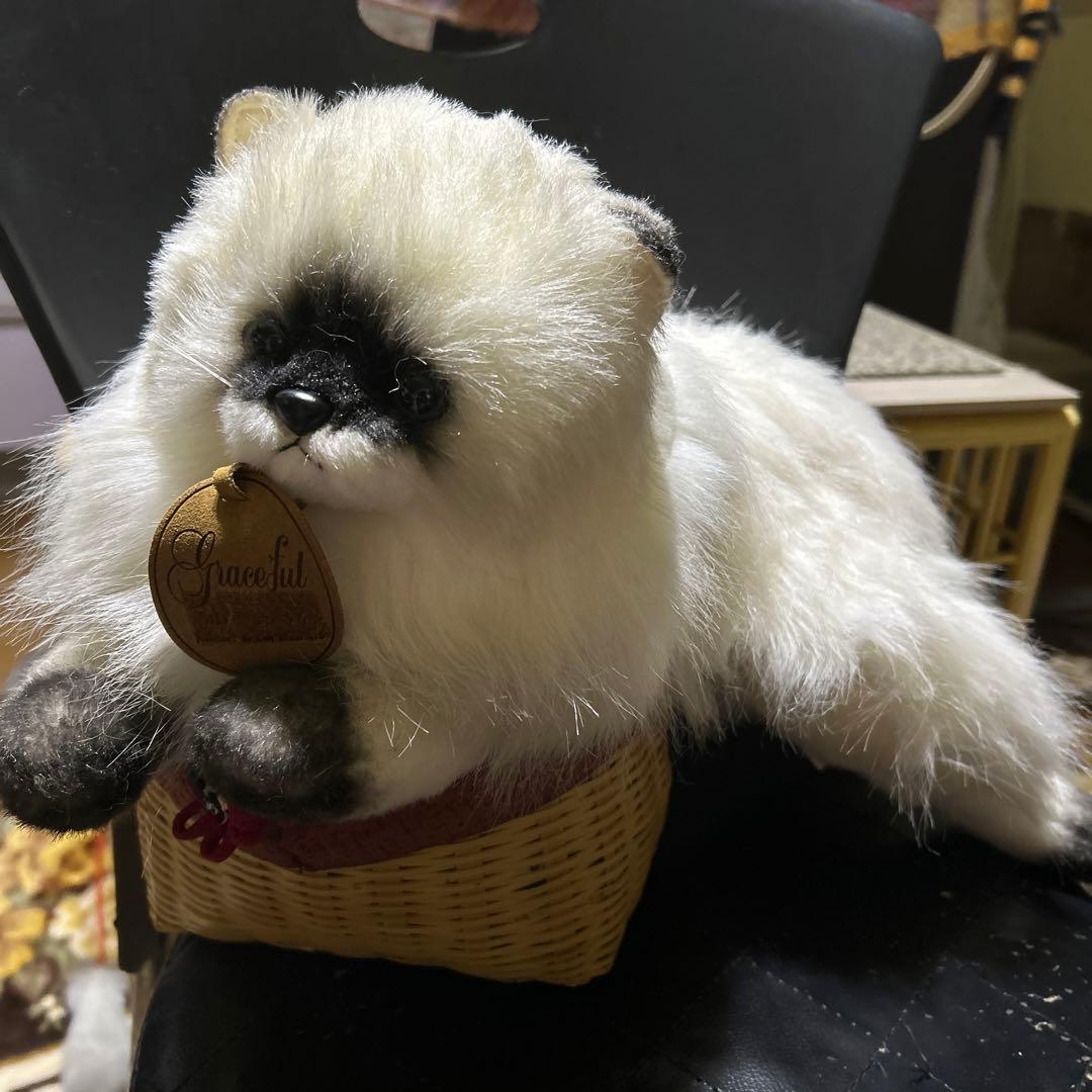 doorzo様❗️猫　ヒマラヤン　三英❣️ 楽天市場】猫 ヒマラヤン オックス 綿100％ 約110cm幅（数量×50cm