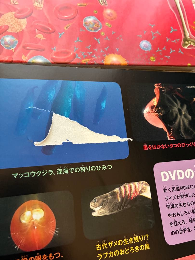 move 講談社の動く図鑑セット12冊世界の国ぐに図鑑つき - メルカリ