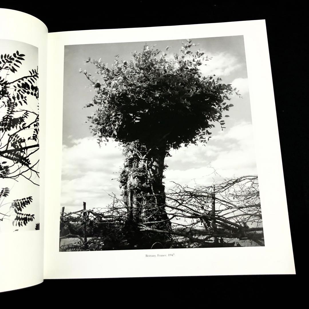 エドゥアール・ブーバ 写真集「Edouard Boubat」2004 - メルカリ