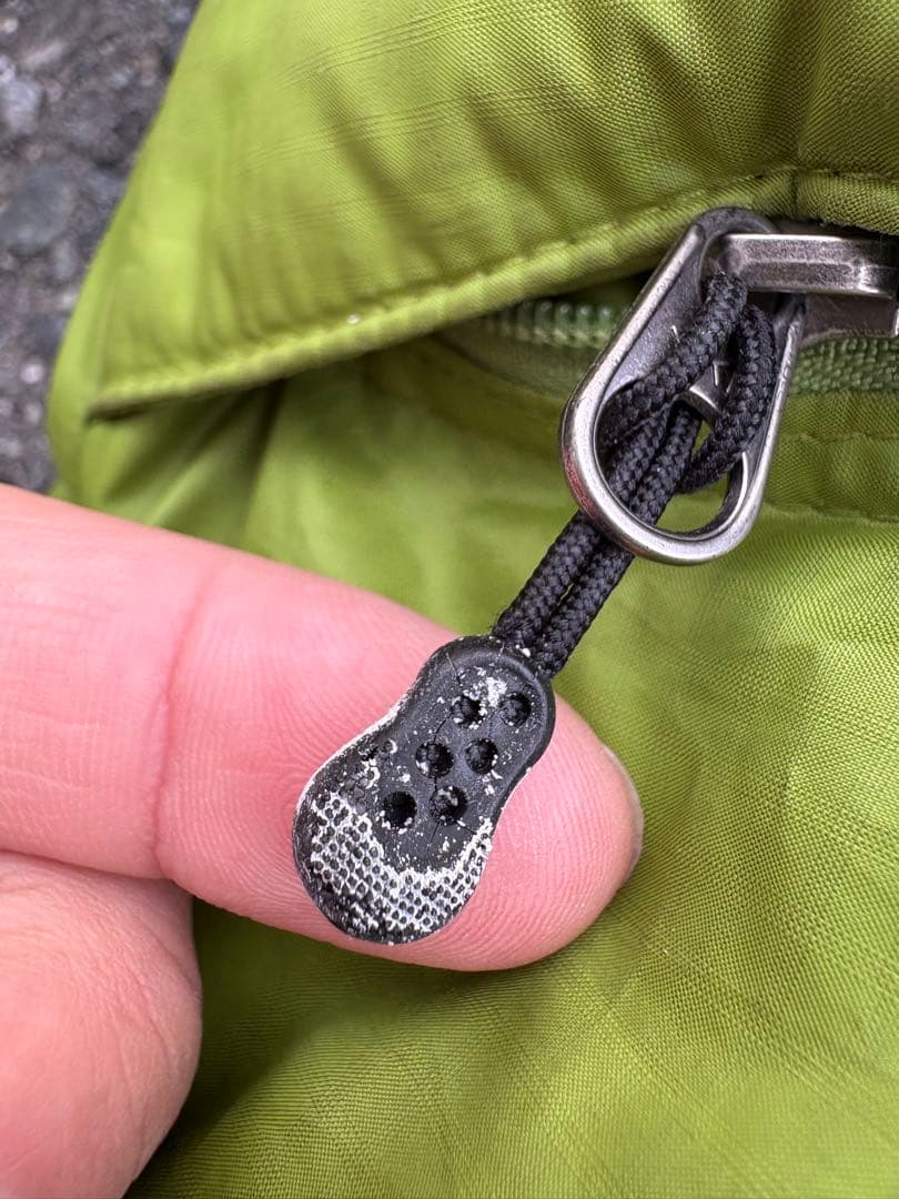 希少】patagonia ダウンパーカー ゲッコーグリーン Lサイズ - メルカリ