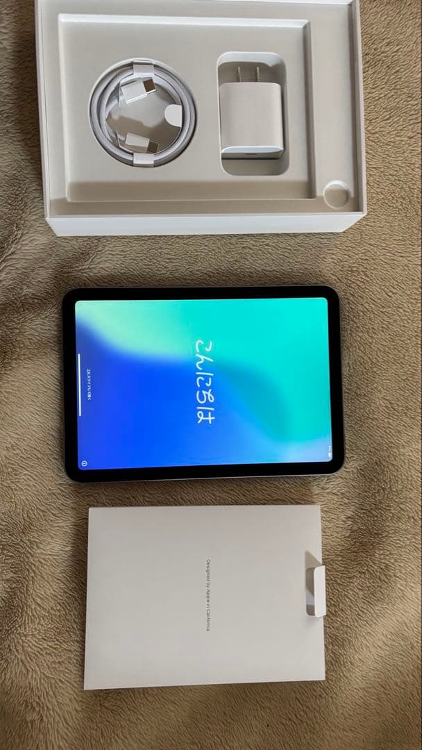iPad本体 iPad mini 7 s-l400.jpg