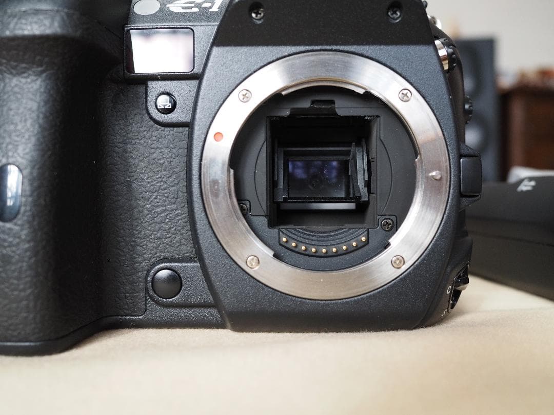 オリンパス　E-1 OLYMPUS E-1 - 人生は沼だらけ