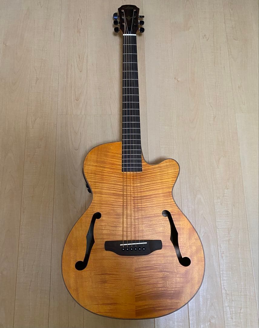 ARIA アリア FET-F2 STBR エレアコ ARIA（アリア） エレアコ ARIA FET-F2 STBR エレクトリック