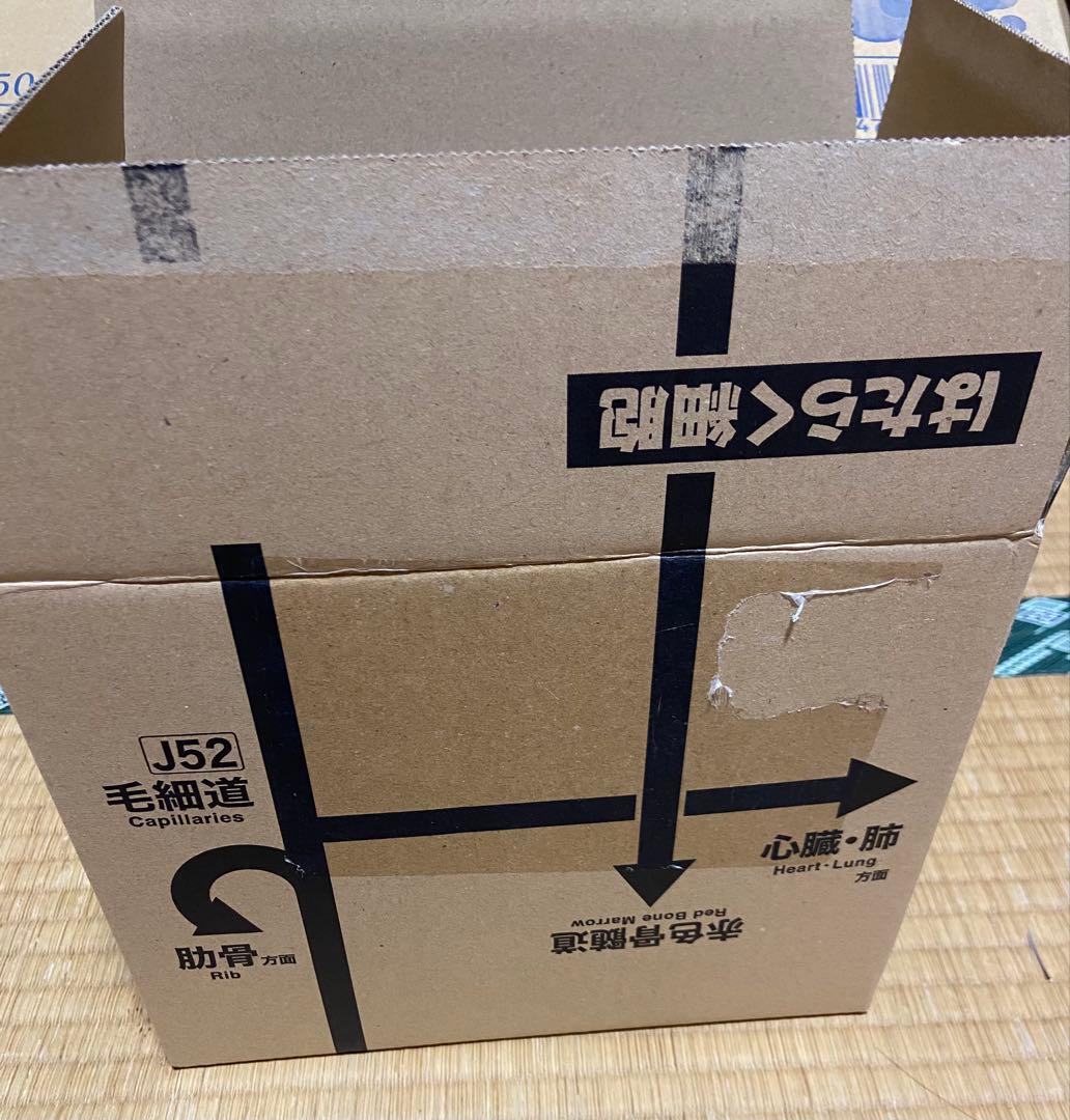 即購入OK】映画 はたらく細胞 完全生産限定版・DVD・数量限定 未開封