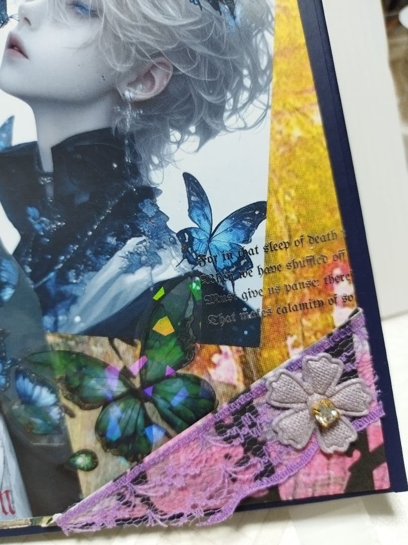 おすそ分けファイル見開き男の子＆平袋、ケース No.29 ダーク・蝶