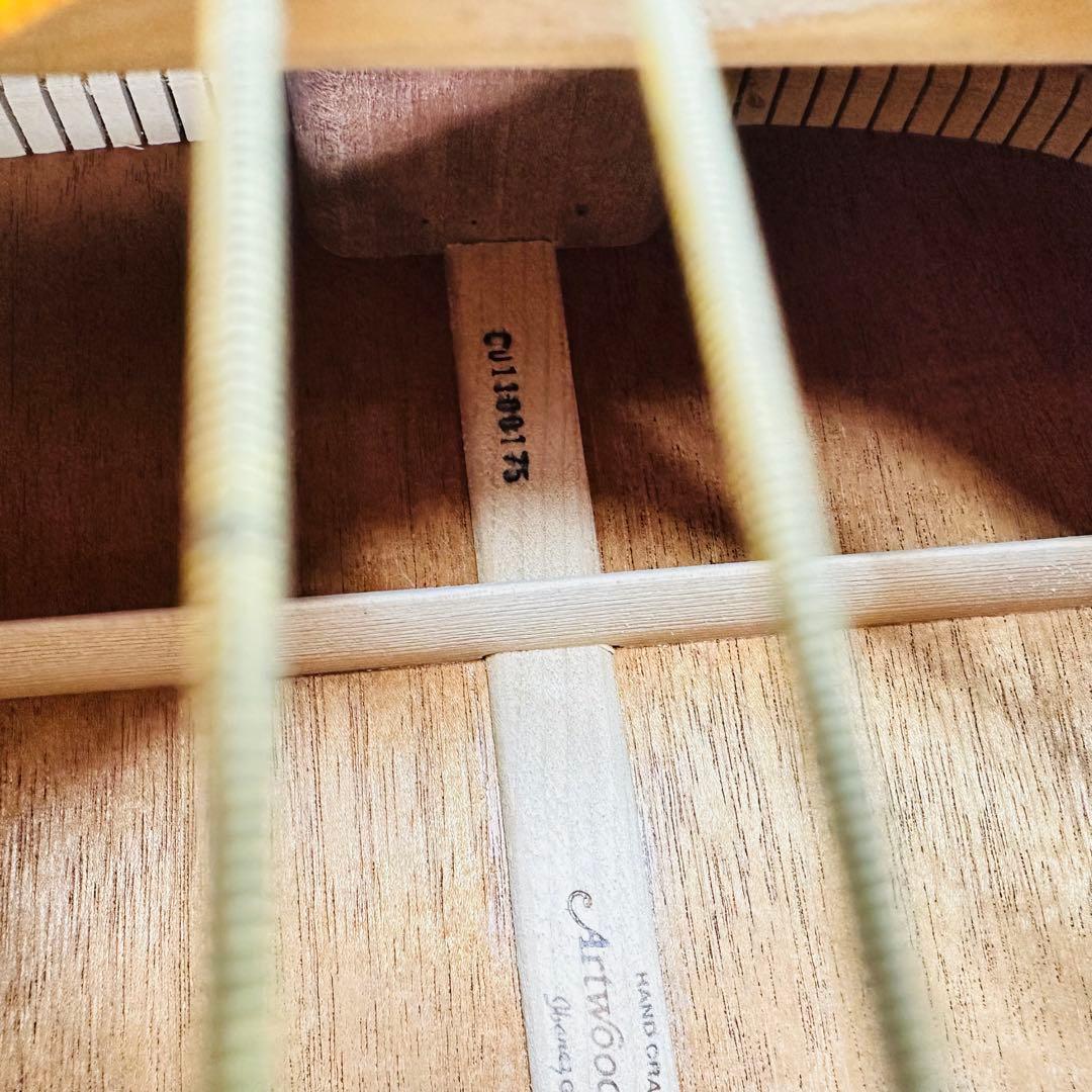 ibanez アコースティックギター artwood AW-10 - メルカリ