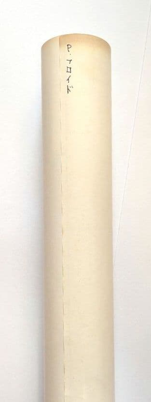 ピンク フロイド/ザ ウォール 1979年 激レア BIGサイズ プロモポスター