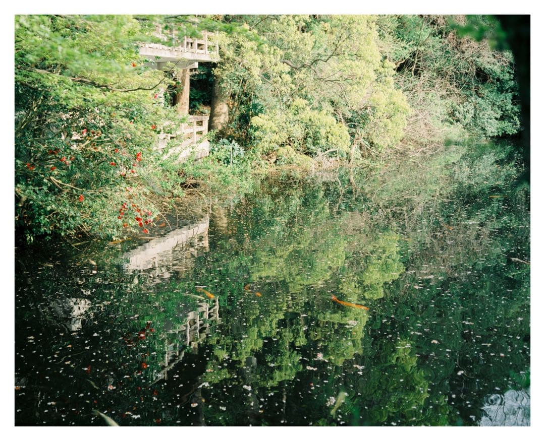 作例有】Plaubel Makina 67 1年前にOH オーバーホール済 - メルカリ