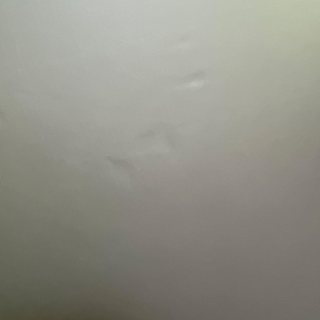 蒼樹うめ　複製原画 大和撫子になりたいのに！