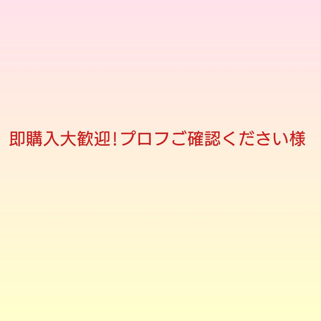 即購入大歓迎!プロフご確認ください様 プロミス 年末特典キャンペーンのご案内（180日間無利息） メール