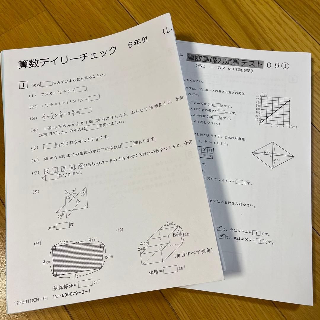 SAPIX算数デイリーチェック6年 - メルカリ