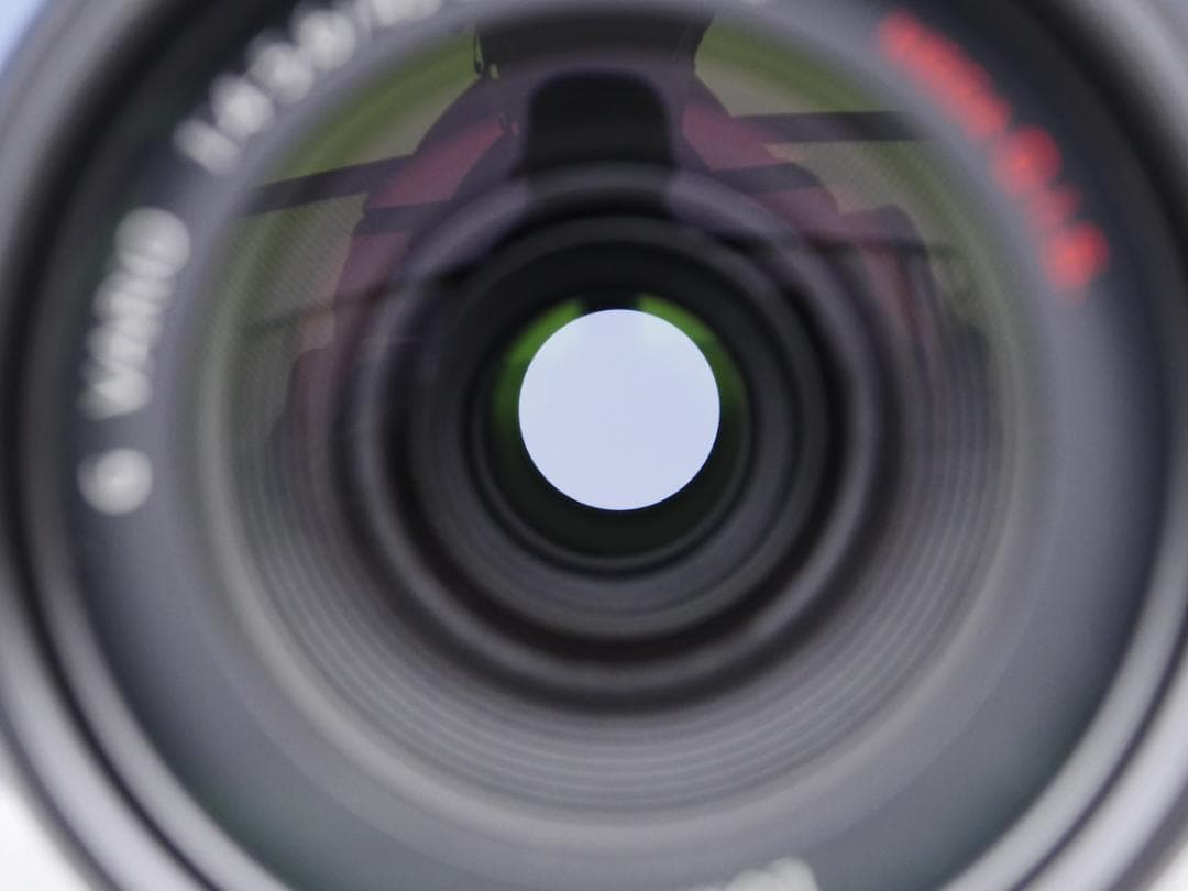 パナソニック LUMIX G VARIO 45-200mm / F4.0-5.6