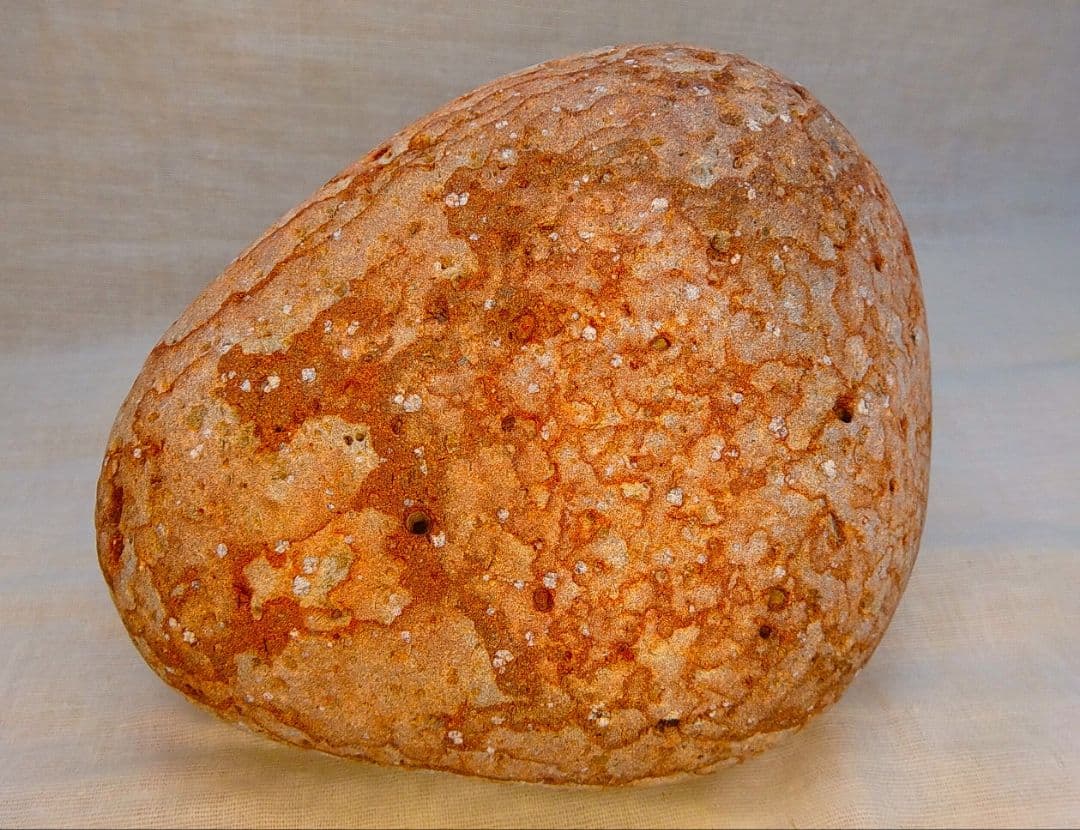 超レア!!姫川薬石赤虎(15)