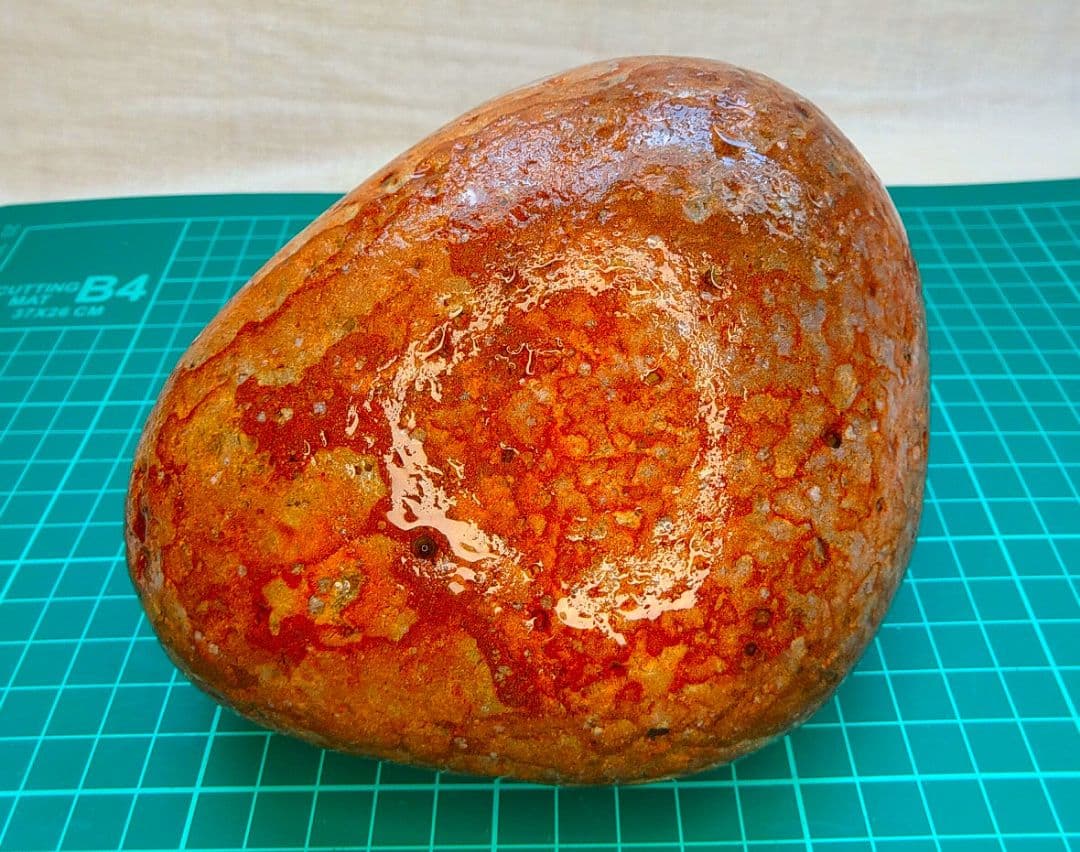 超レア!!姫川薬石赤虎(15)