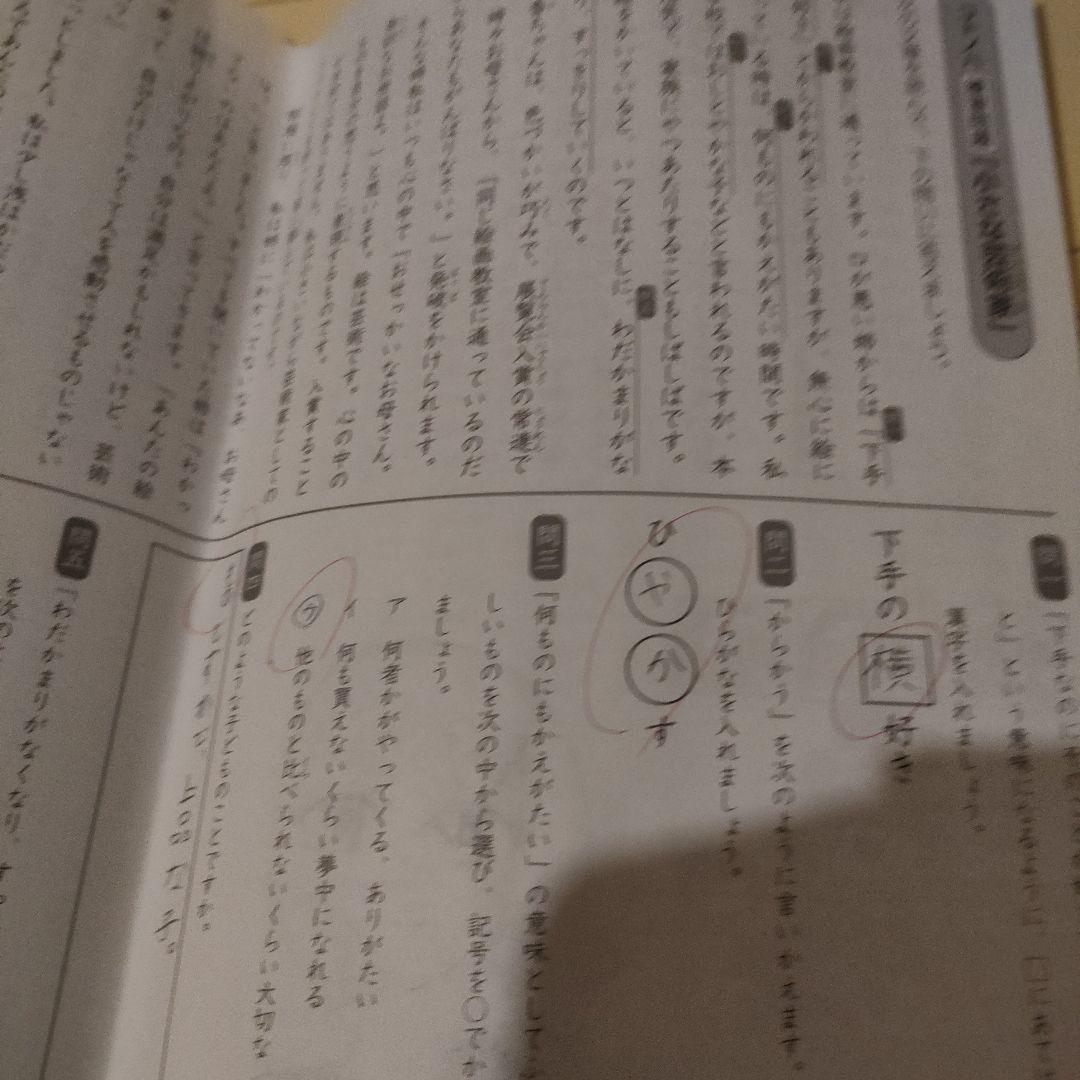 SAPIX 小学4年 国語 デイリー＆春期＆夏期＆冬期 フルセット2021年度版