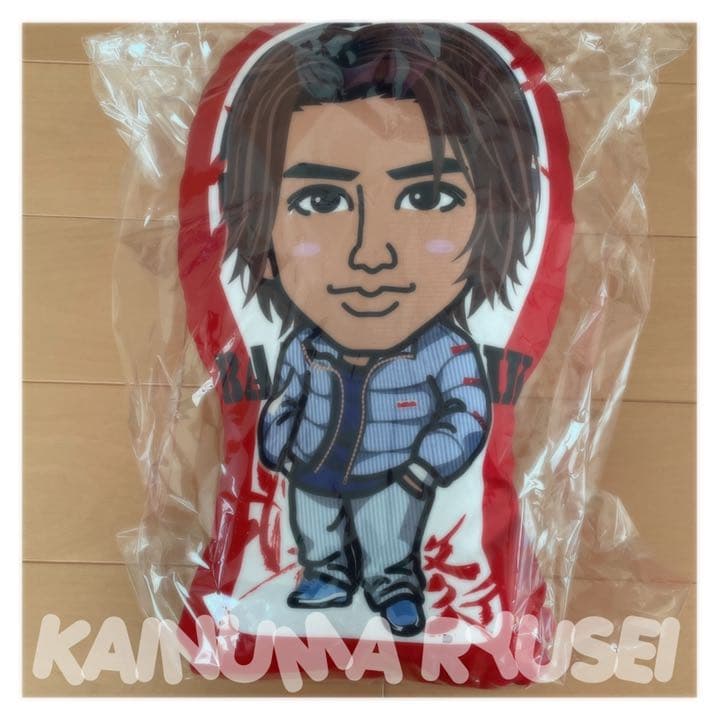 クッション imgrc0110431325.jpg