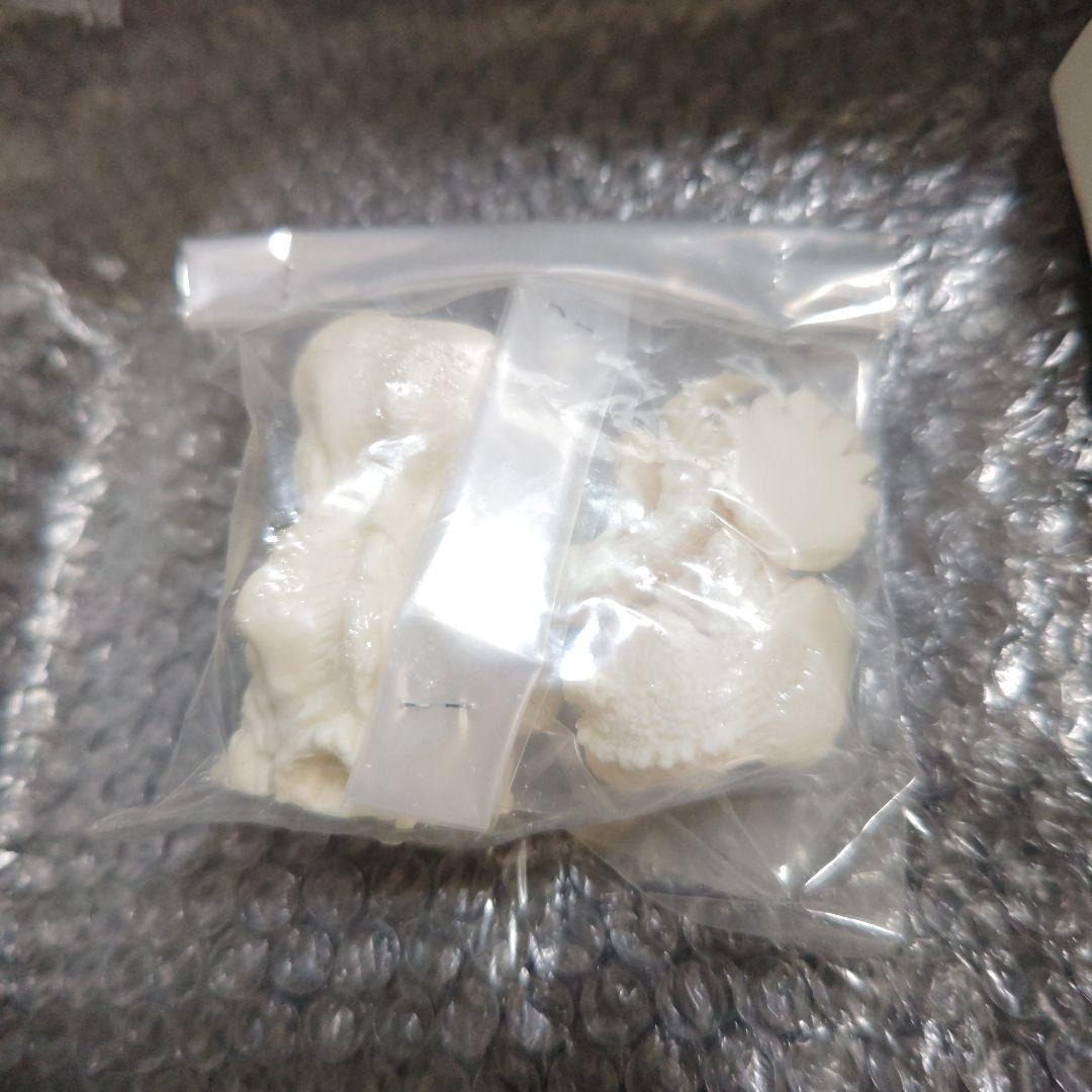 イマージュ ゴジラ対ヘドラ 富士山麓の闘い ガレージキット 未組立