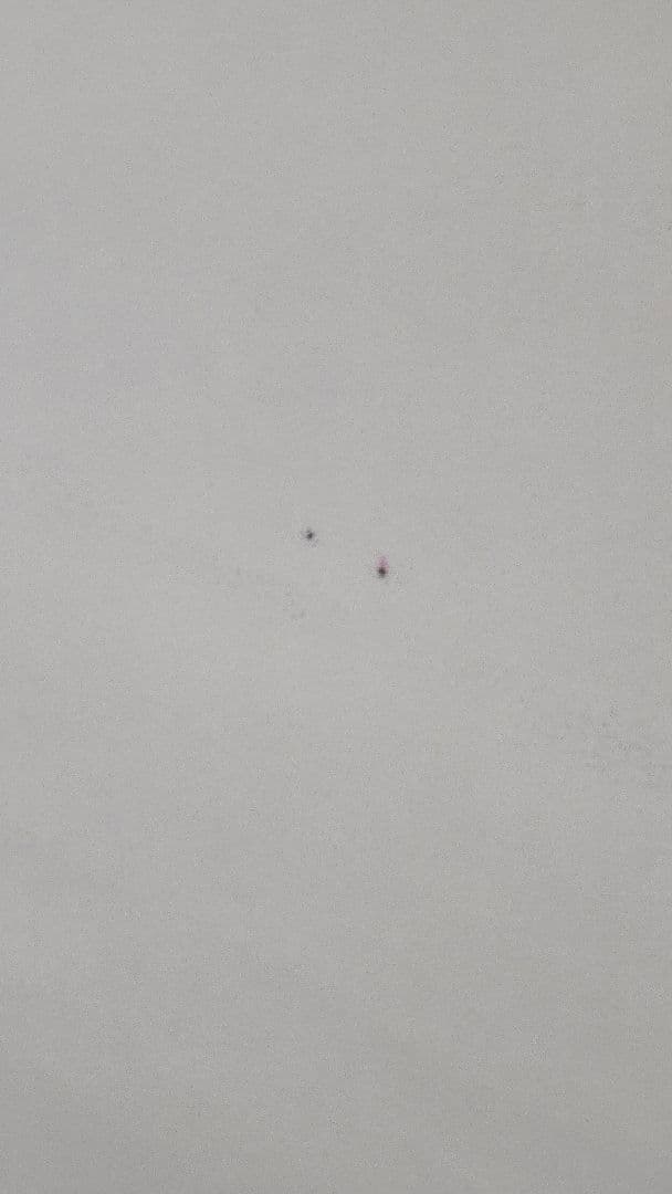 b*6様 【希少品】横尾忠則 JRA 第65回日本ダービーポスター B1