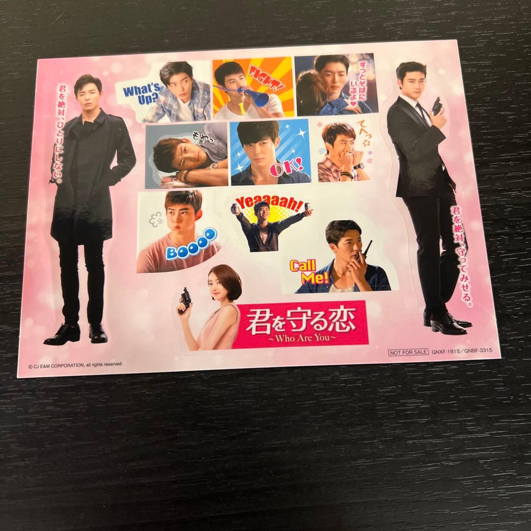 君を守る恋～Who Are You～ DVD-SET 1　＆２全巻