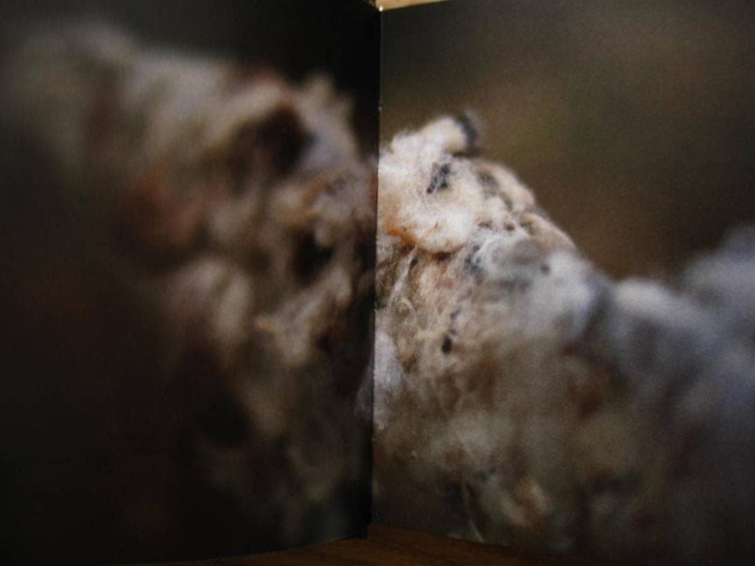 Saturno / Edu Monteiro　エドゥ・モンテイロ　私家版