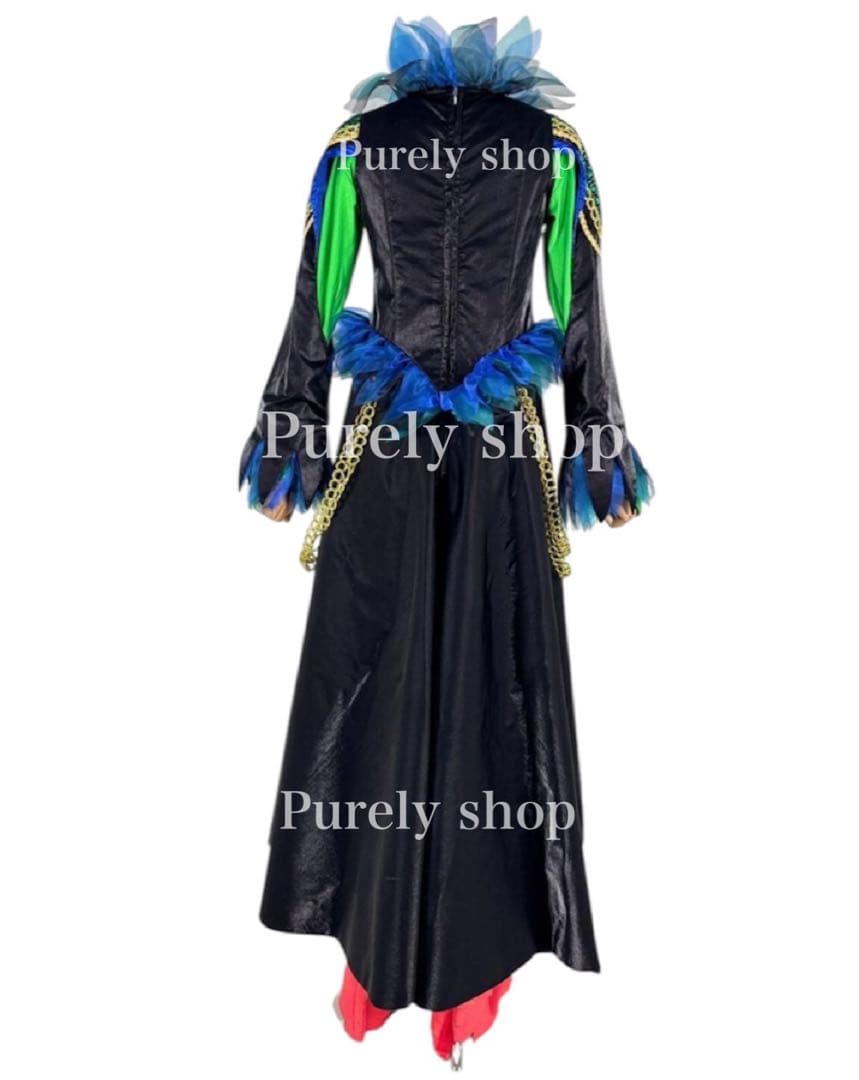 ディズニー フレンジー into the frenzy カラスダンサー 衣装仮装