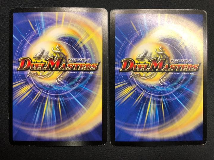 11741 聖霊王アルカディアス 2枚セット - メルカリ