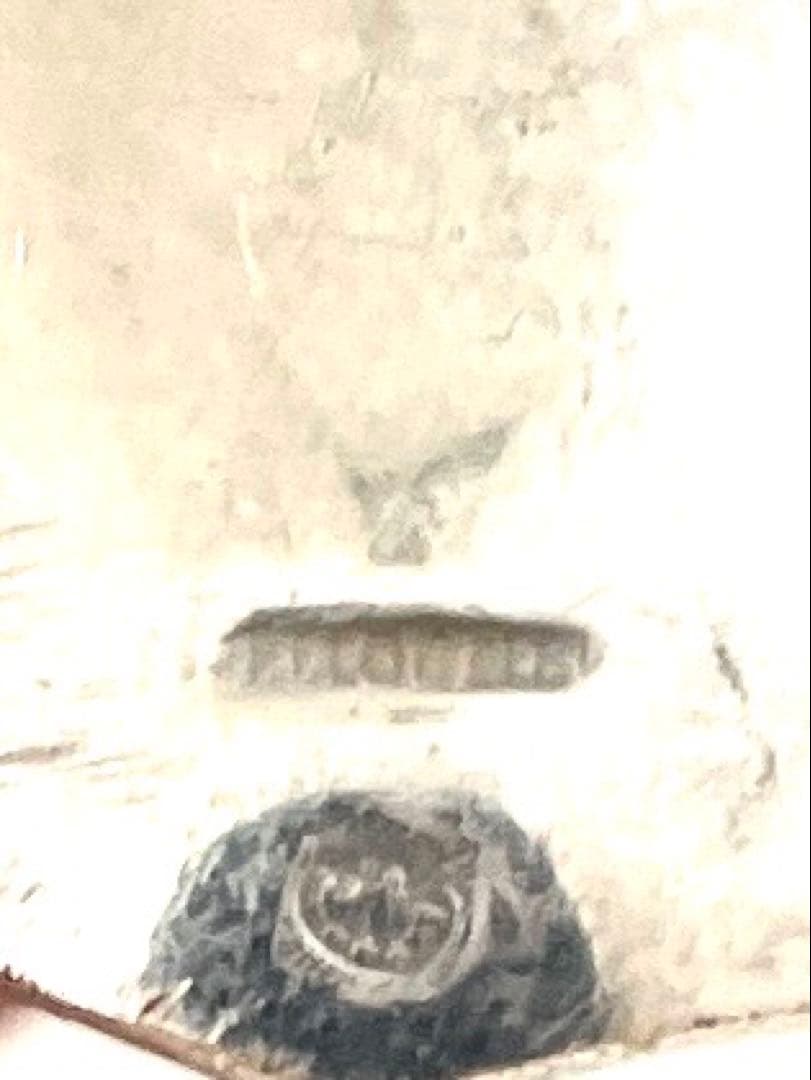 フランス アンティーク]クリストフル獣手シルバーシュガートング刻印