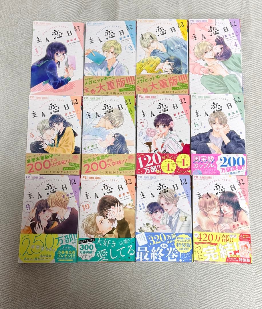 吉永ゆう 主人恋日記 全巻セット 1〜12巻 - メルカリ