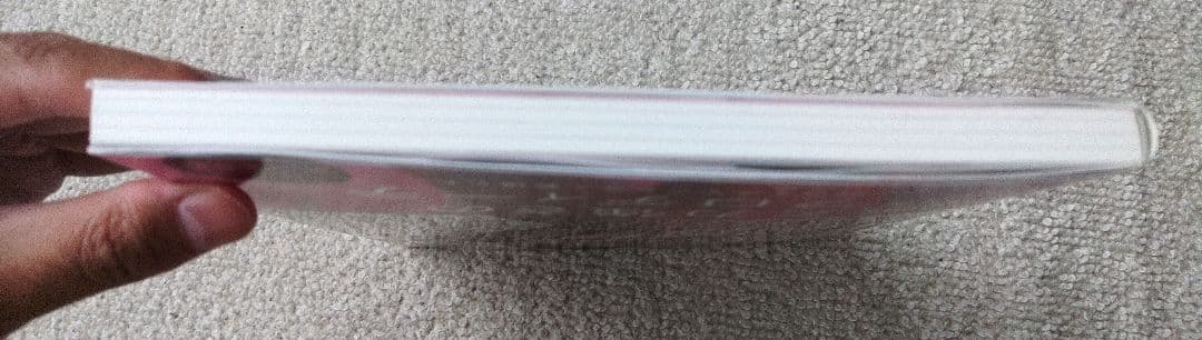 ビジュアル ヌード・ポーズ Book act 市川まさみ