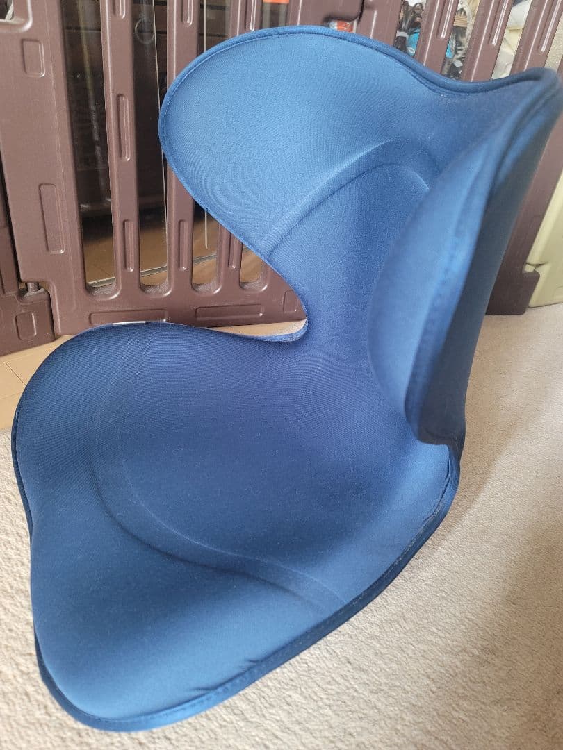 【美品】Style SMART 姿勢矯正用ネイビークッション Style（スタイル） ○ポイント10倍！○ MTG公式ストア スマート Style