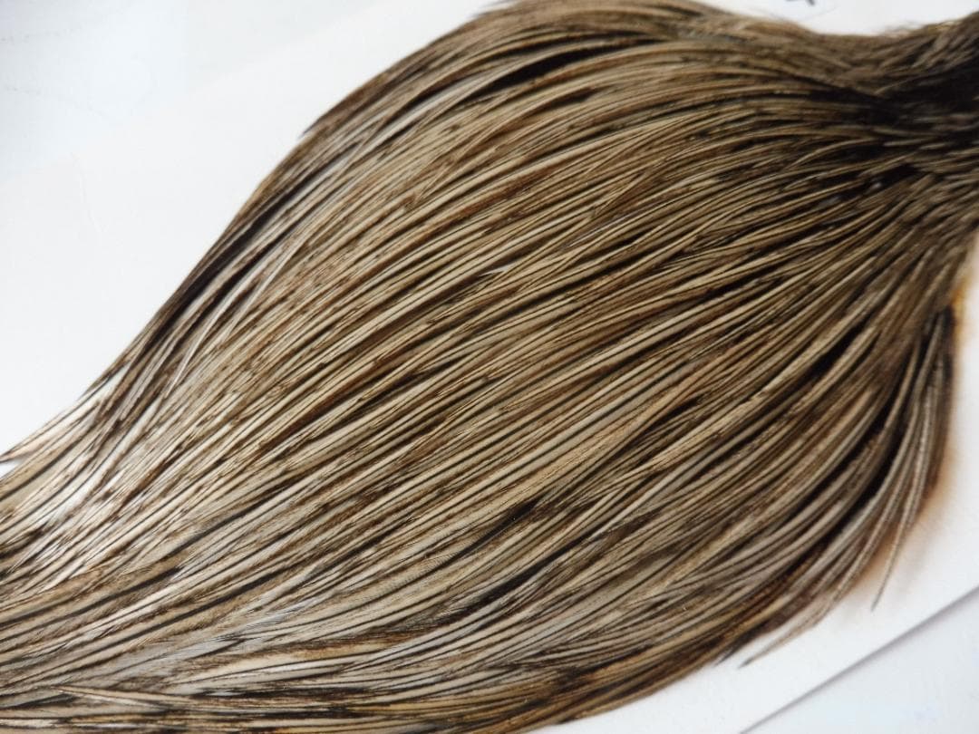 WHITING Silver ハックルケープ Golden Badger