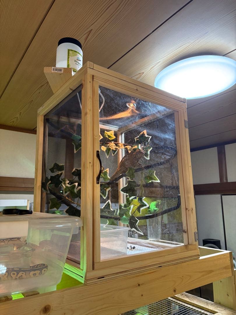 爬虫類ケージ 60×40×40 メッシュ アクリル扉 カメレオン ケージ ペット