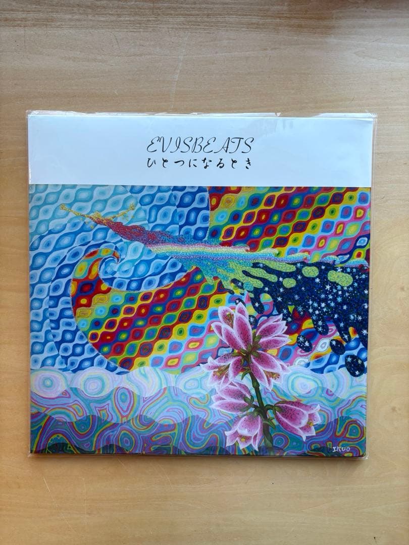 EVISBEATS LPレコード2枚組 ひとつになるとき Evisbeats – ひとつになるとき – 2 x Vinyl (LP, Album, Limited