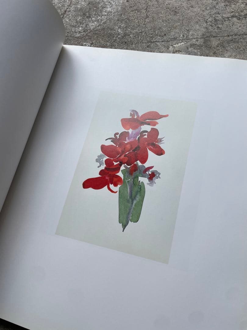 大型本 オキーフ画集 「花」 100頁 ニコラス・キャラウェイ/編・著