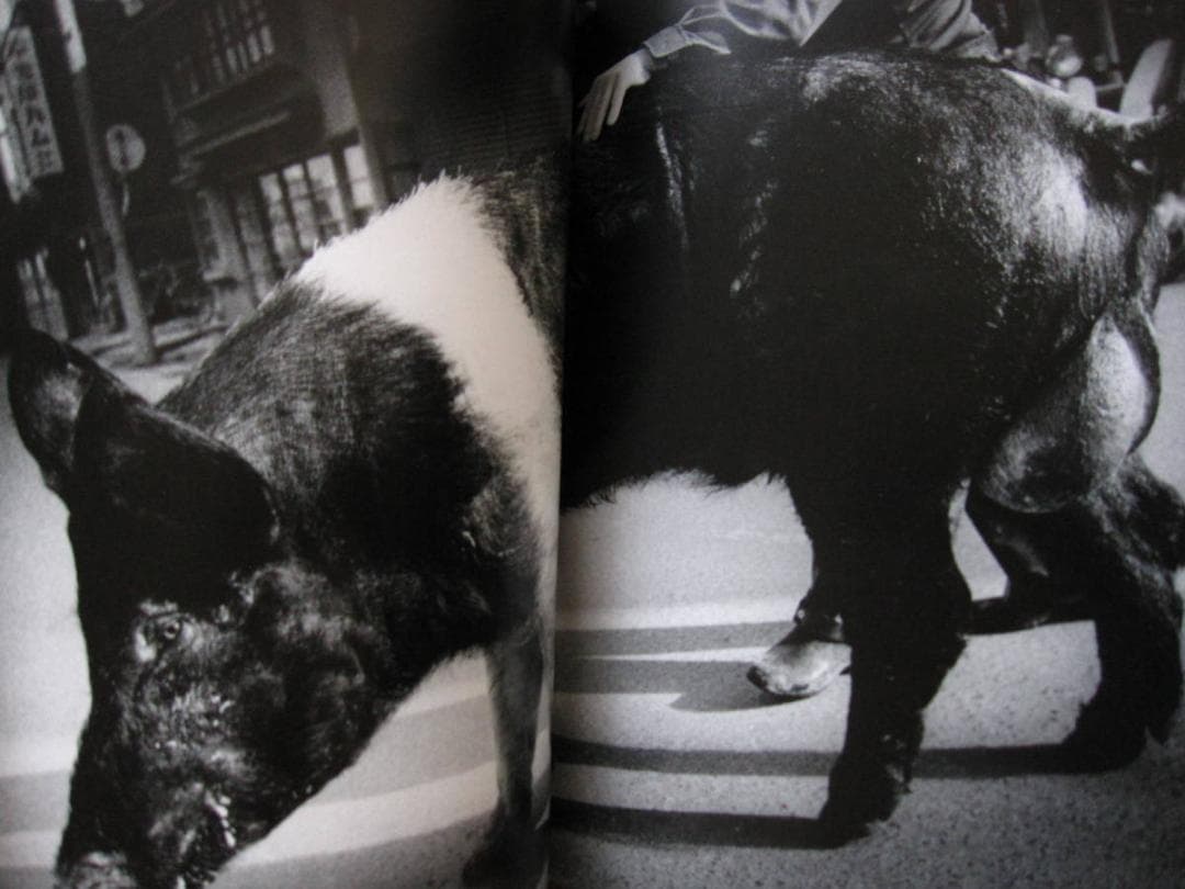 Daido Moriyama The World through My Eyes - メルカリ