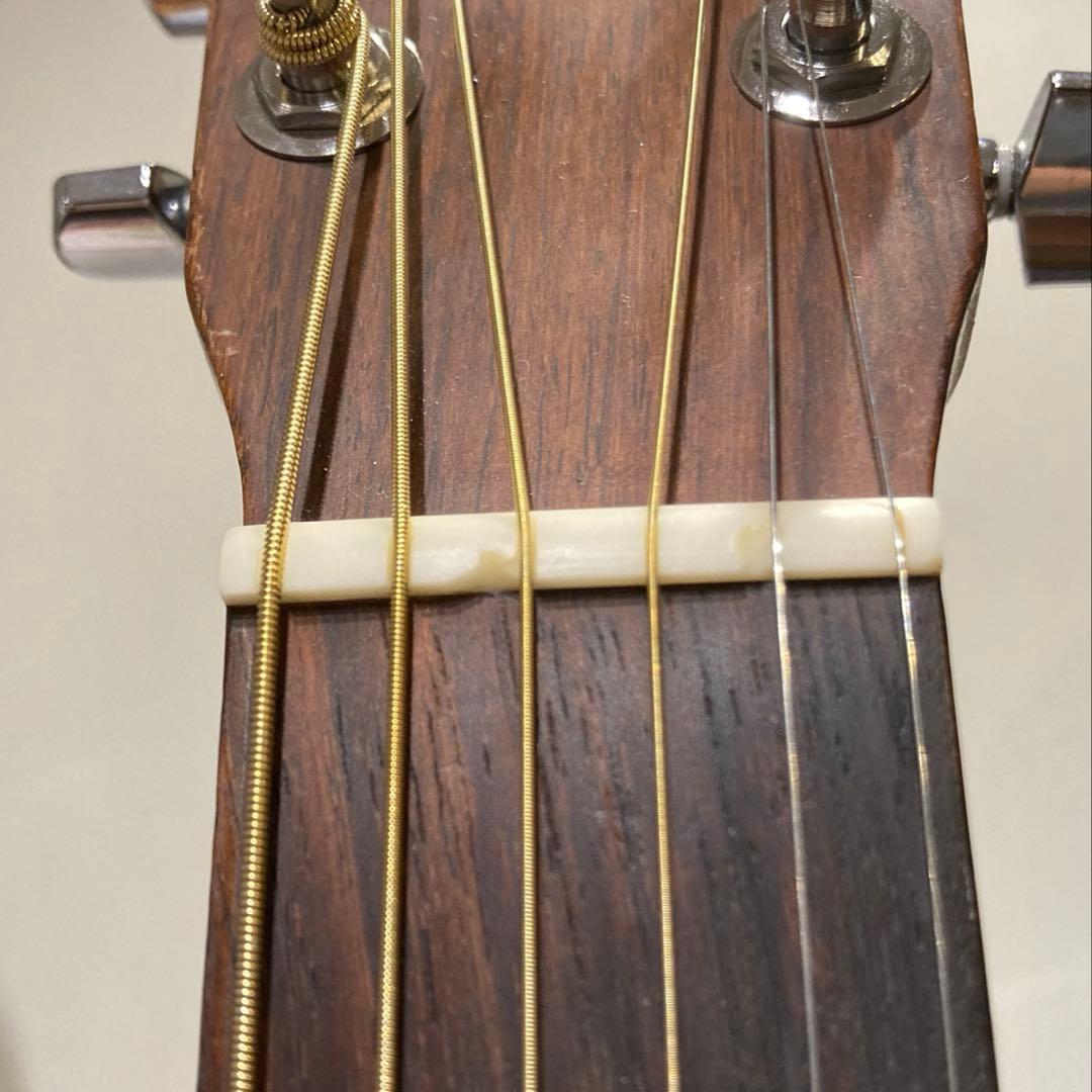 Martin DM RITTERケース Martin段ボール箱付 訳あり