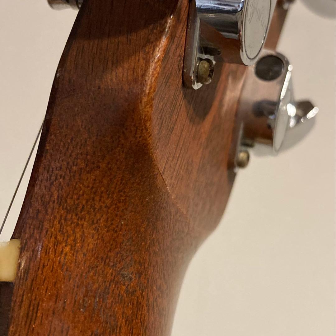 Martin DM RITTERケース Martin段ボール箱付 訳あり