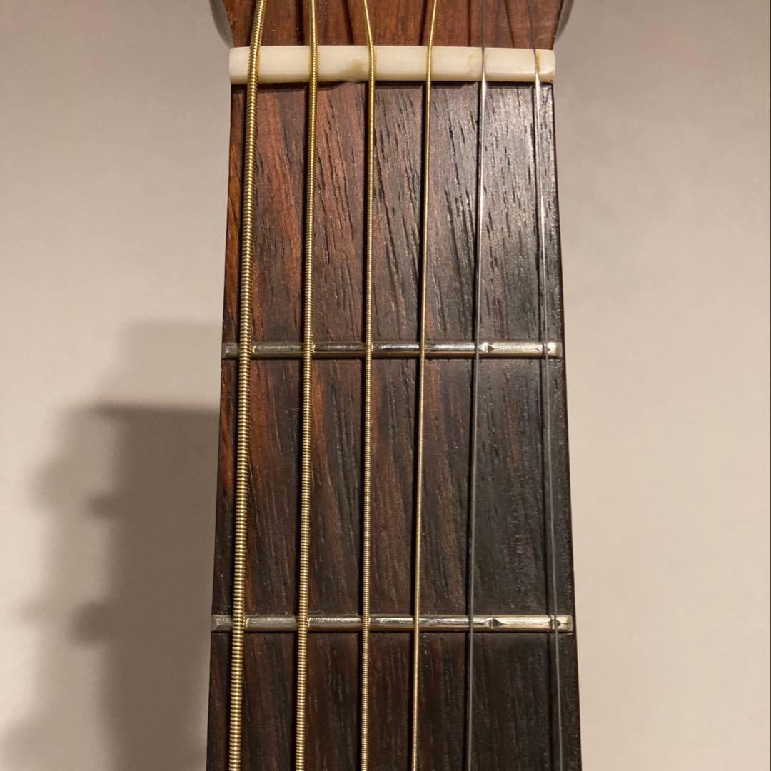 Martin DM RITTERケース Martin段ボール箱付 訳あり