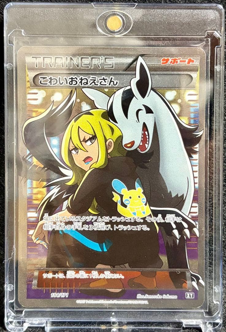 こわいおねえさん SR THE BEST OF XY サポート 184/171