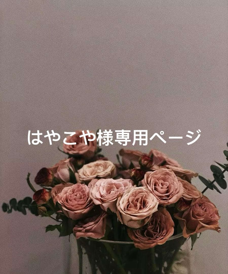 はやこやページ OriginalウィンザーZ オリジナル | 自動車関連 | 梯子、脚立の