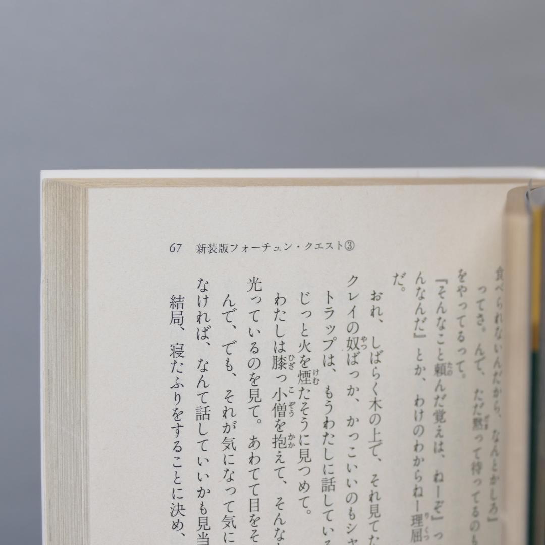 新装版フォーチュンクエスト 本編全8巻・外伝全3巻・バイト編